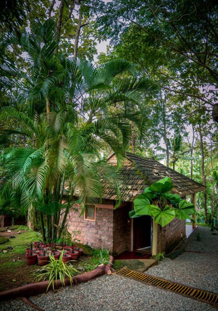 Vishram Village Varkala Buitenkant foto