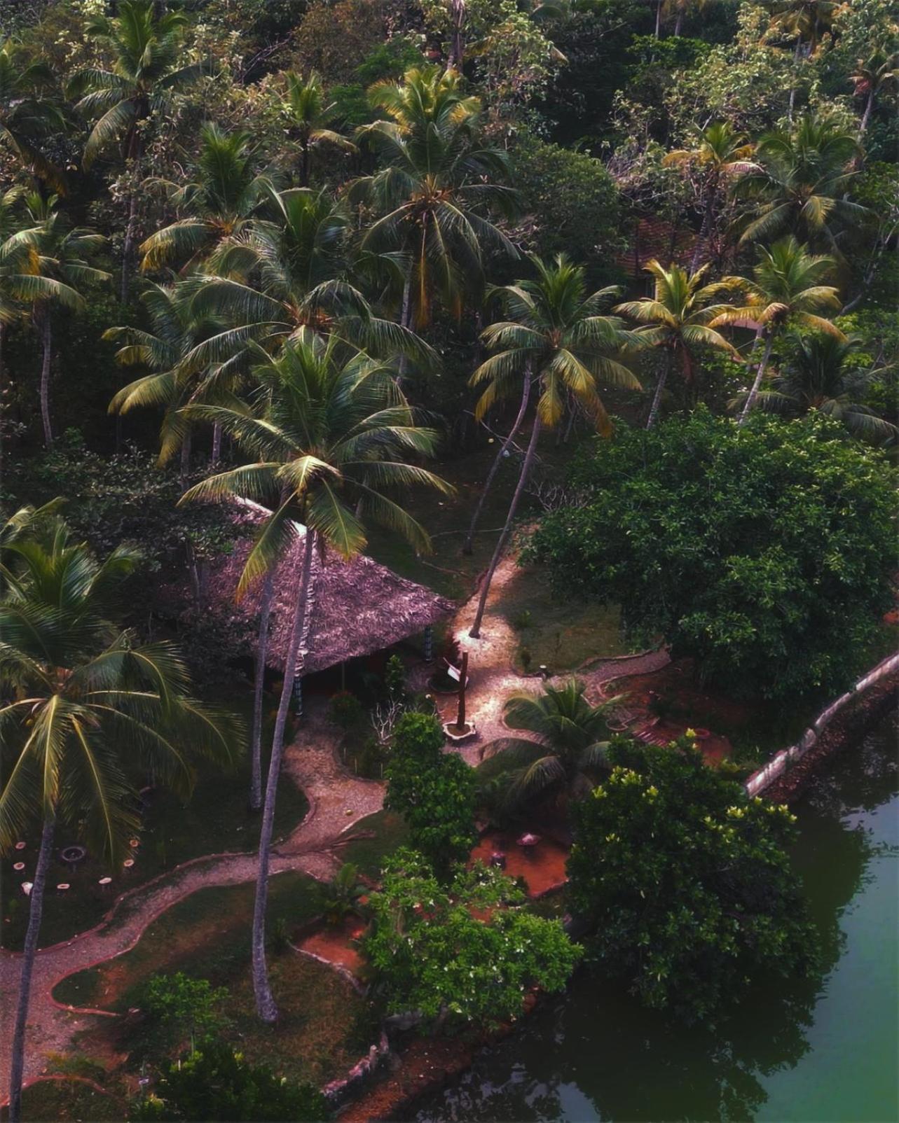Vishram Village Varkala Buitenkant foto